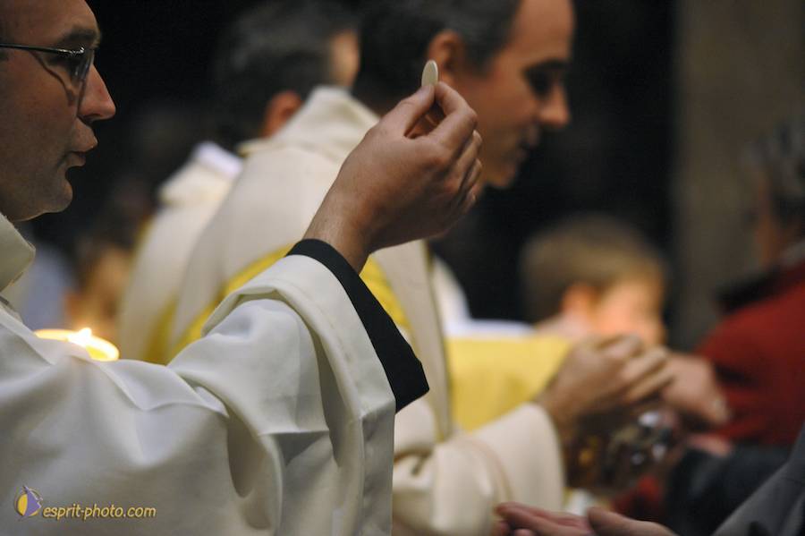 Nom de l'image : D30050447_1_(c)Norbert-JUNG — Description :